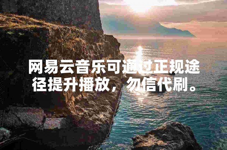 网易云音乐可通过正规途径提升播放，勿信代刷。