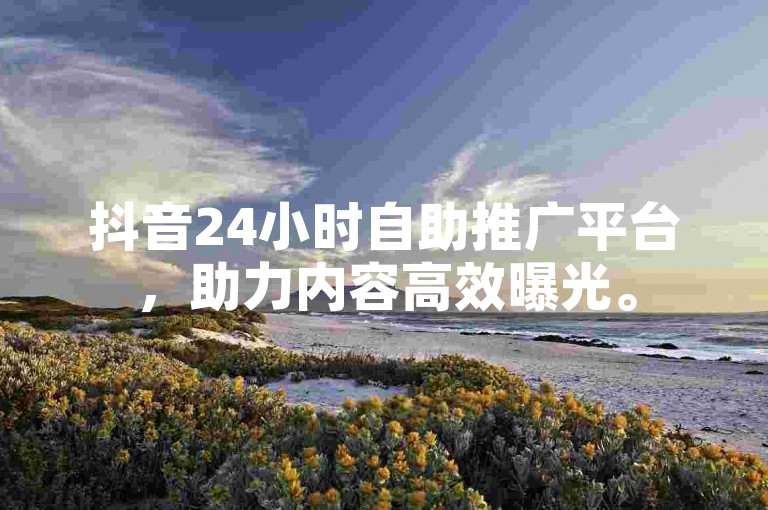 抖音24小时自助推广平台，助力内容高效曝光。