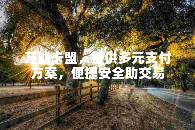 万能卡盟，提供多元支付方案，便捷安全助交易