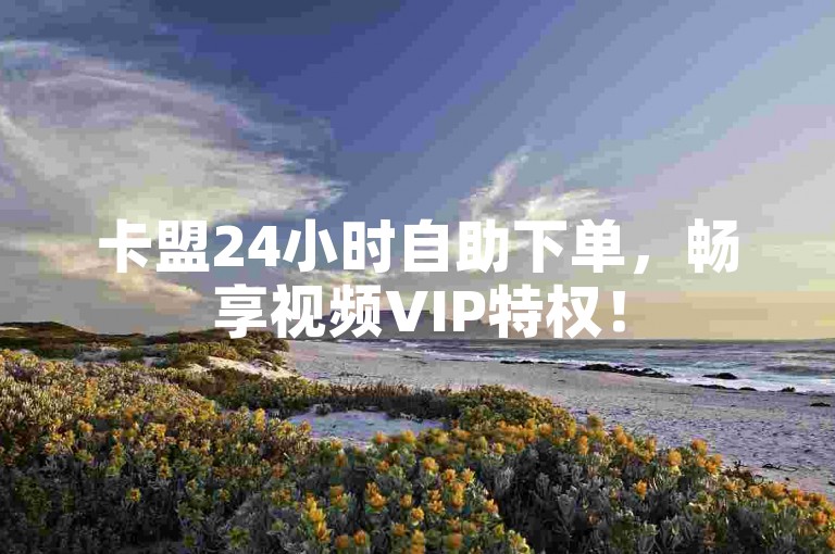 卡盟24小时自助下单，畅享视频VIP特权！