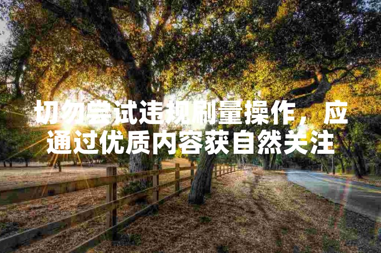切勿尝试违规刷量操作，应通过优质内容获自然关注。