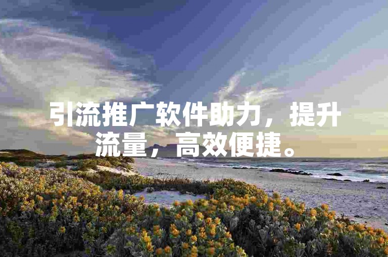 引流推广软件助力，提升流量，高效便捷。