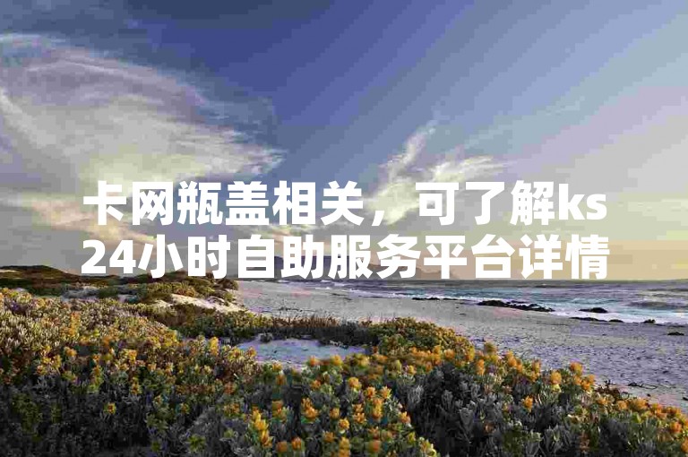 卡网瓶盖相关，可了解ks24小时自助服务平台详情。