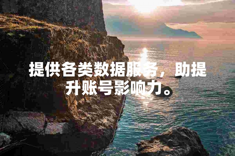 提供各类数据服务，助提升账号影响力。