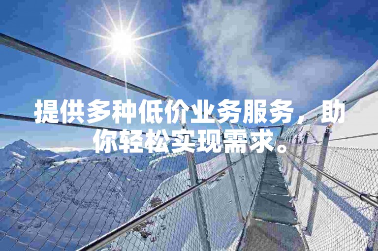 提供多种低价业务服务，助你轻松实现需求。