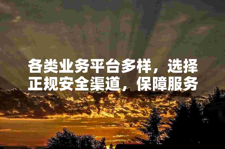 各类业务平台多样，选择正规安全渠道，保障服务与权益。