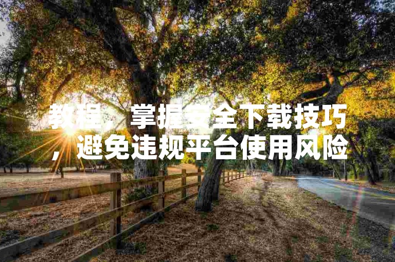 教程，掌握安全下载技巧，避免违规平台使用风险。
