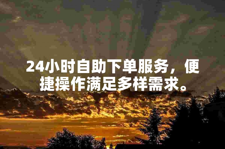 24小时自助下单服务，便捷操作满足多样需求。