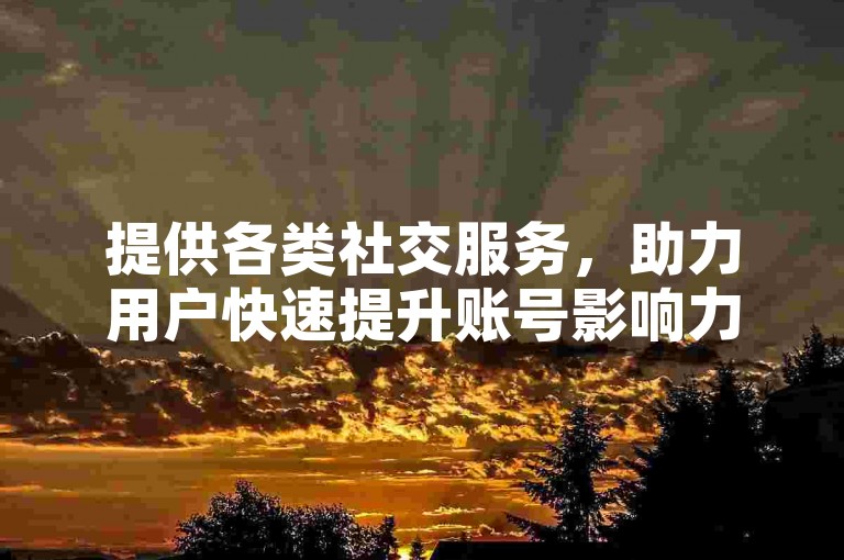 提供各类社交服务，助力用户快速提升账号影响力。