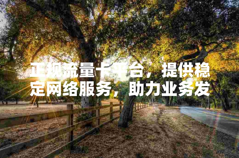 正规流量卡平台，提供稳定网络服务，助力业务发展。