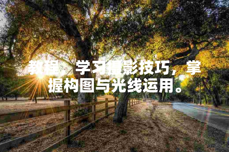 教程，学习摄影技巧，掌握构图与光线运用。