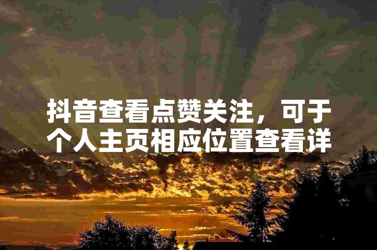 抖音查看点赞关注，可于个人主页相应位置查看详情。
