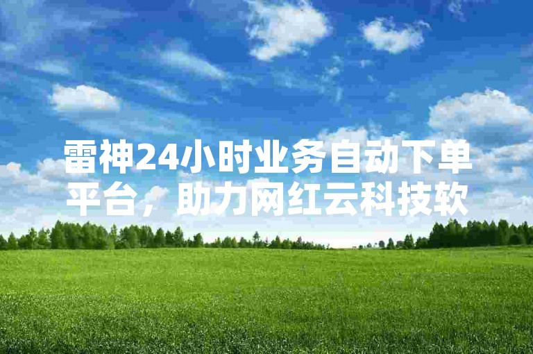 雷神24小时业务自动下单平台，助力网红云科技软件高效运行。