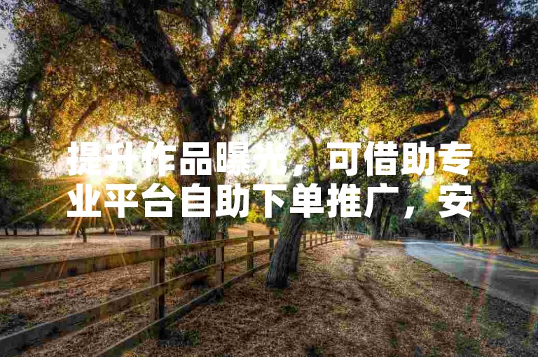 提升作品曝光，可借助专业平台自助下单推广，安全便捷。
