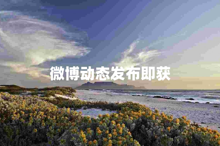 微博动态发布即获50赞，小红书笔记轻松收获200点赞。