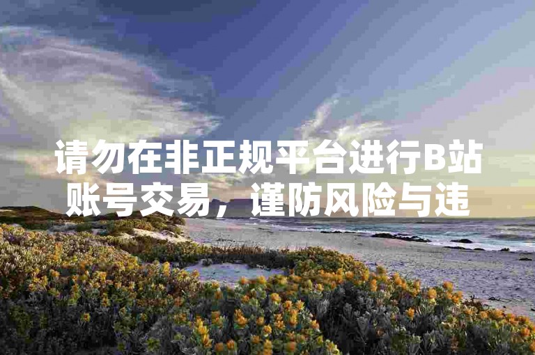 请勿在非正规平台进行B站账号交易，谨防风险与违规行为。