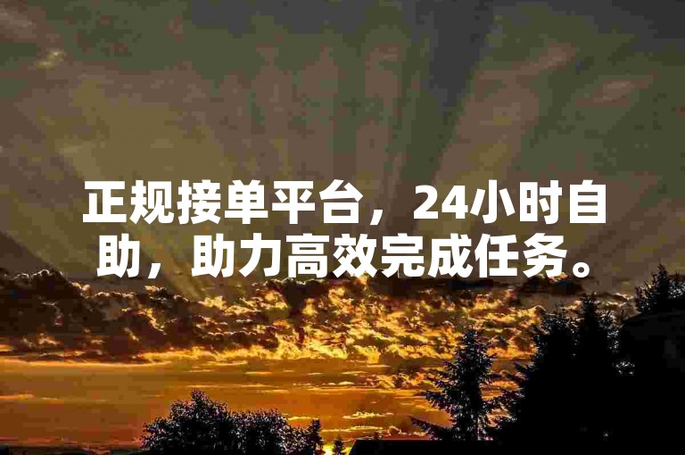 正规接单平台，24小时自助，助力高效完成任务。