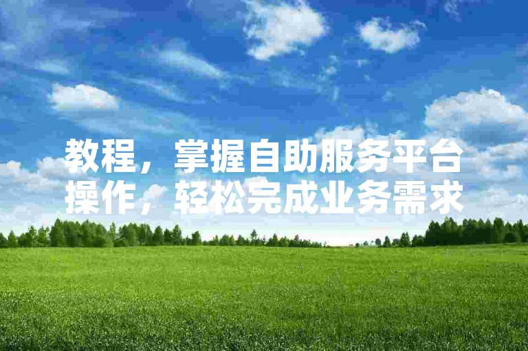教程，掌握自助服务平台操作，轻松完成业务需求。