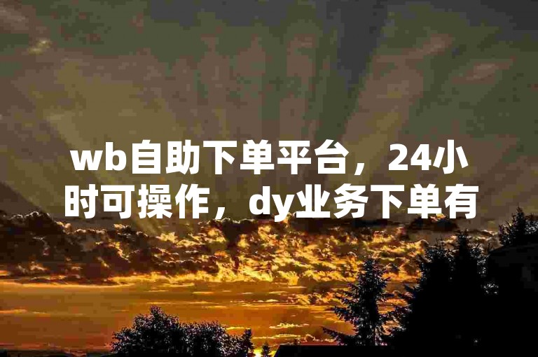 wb自助下单平台，24小时可操作，dy业务下单有真人服务。