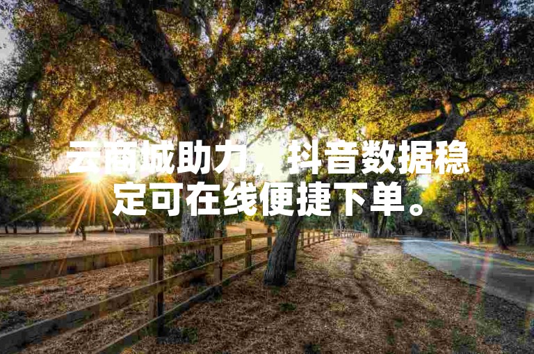 云商城助力，抖音数据稳定可在线便捷下单。