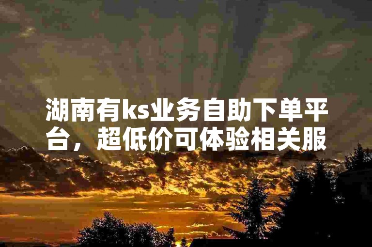 湖南有ks业务自助下单平台，超低价可体验相关服务。