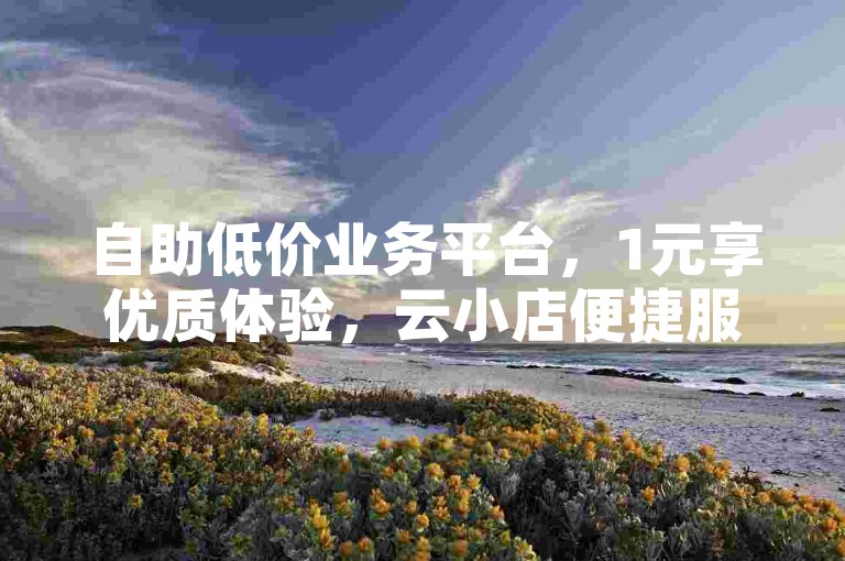 自助低价业务平台，1元享优质体验，云小店便捷服务。