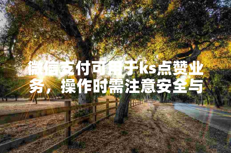 微信支付可用于ks点赞业务，操作时需注意安全与合规。