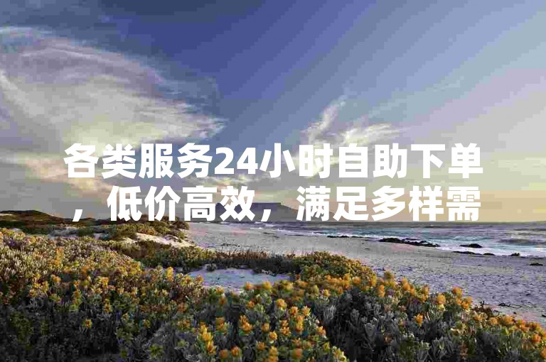 各类服务24小时自助下单，低价高效，满足多样需求。