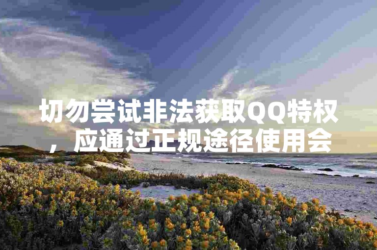 切勿尝试非法获取QQ特权，应通过正规途径使用会员服务。