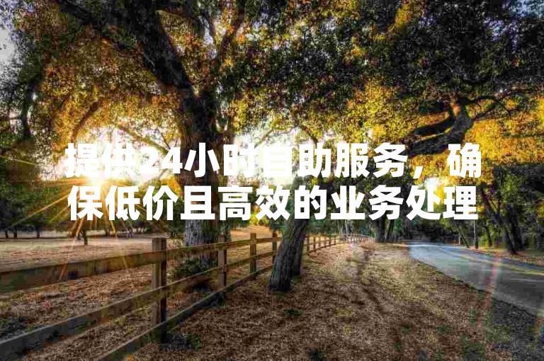提供24小时自助服务，确保低价且高效的业务处理。