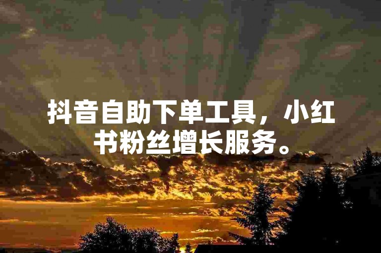 抖音自助下单工具，小红书粉丝增长服务。