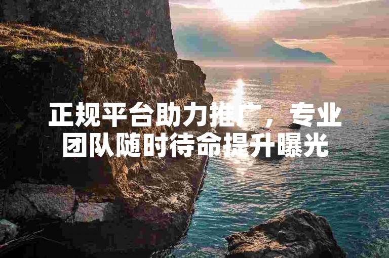 正规平台助力推广，专业团队随时待命提升曝光