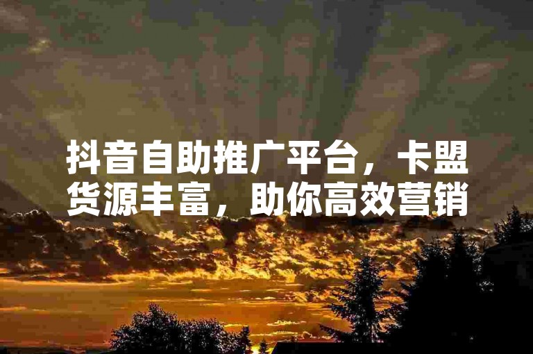抖音自助推广平台，卡盟货源丰富，助你高效营销。
