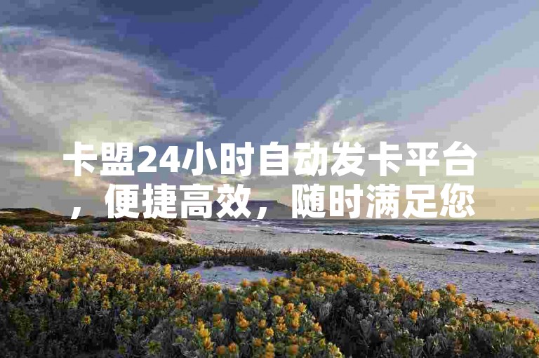 卡盟24小时自动发卡平台，便捷高效，随时满足您的用卡需求！