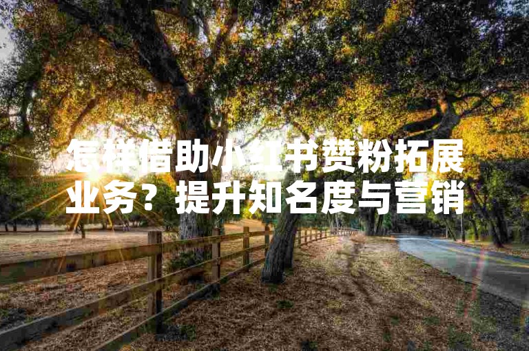 怎样借助小红书赞粉拓展业务？提升知名度与营销成效的关键！