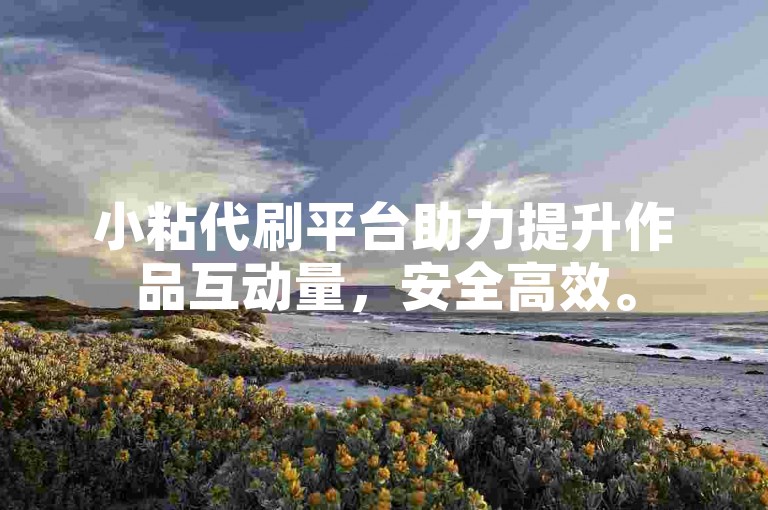 小粘代刷平台助力提升作品互动量，安全高效。