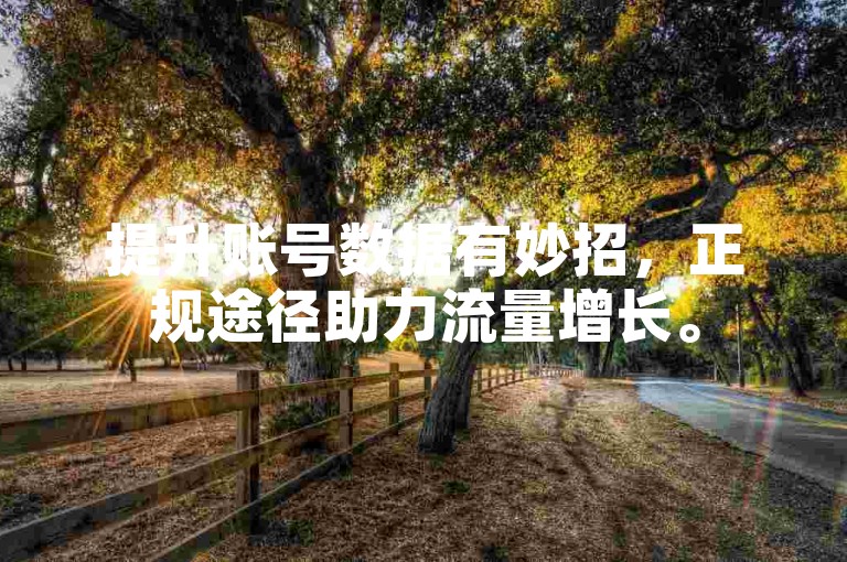 提升账号数据有妙招，正规途径助力流量增长。