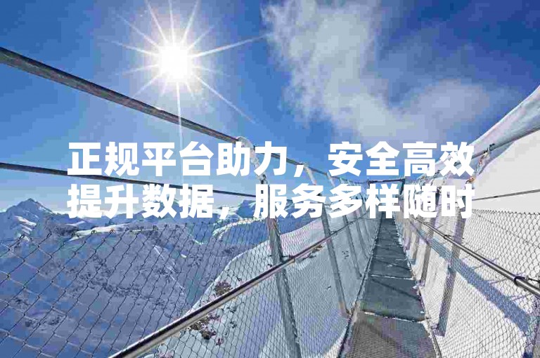 正规平台助力，安全高效提升数据，服务多样随时可下单。