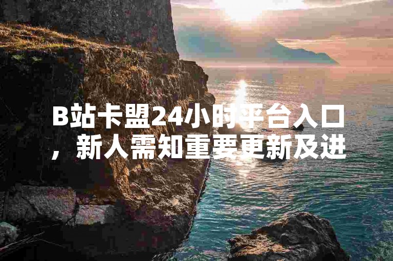 B站卡盟24小时平台入口，新人需知重要更新及进入方式。