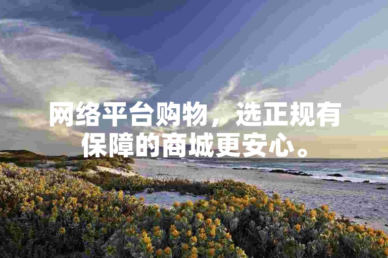 网络平台购物，选正规有保障的商城更安心。