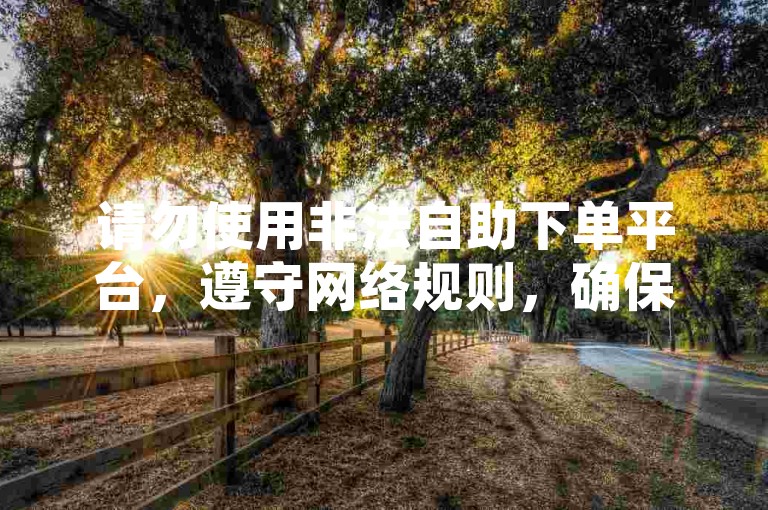 请勿使用非法自助下单平台，遵守网络规则，确保合法安全。