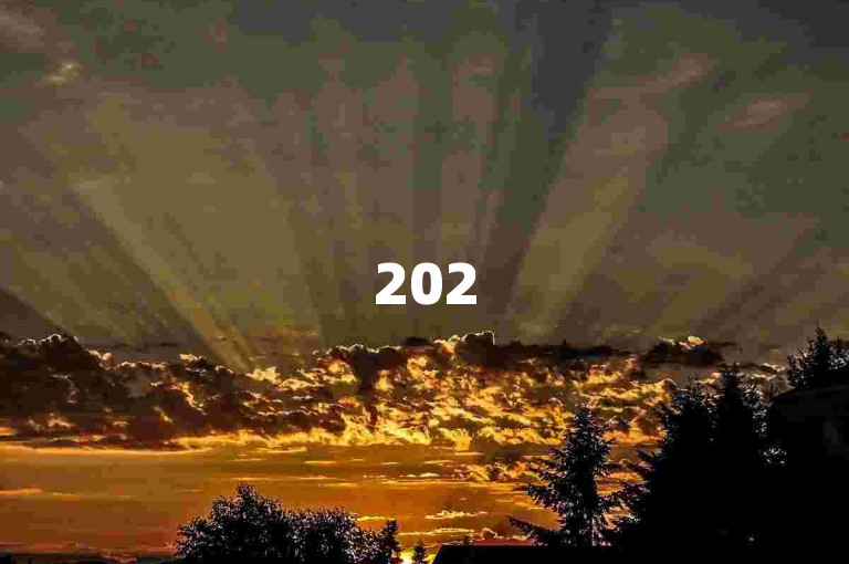 2025必学！qq绿钻低价开通技巧，正规渠道及使用方法详解。