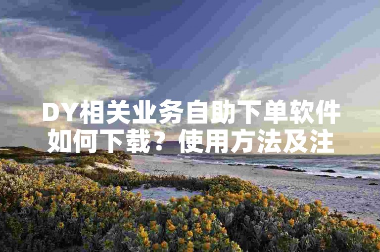 DY相关业务自助下单软件如何下载？使用方法及注意事项详解。