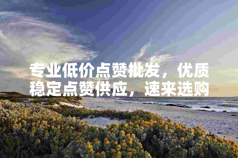 专业低价点赞批发，优质稳定点赞供应，速来选购！