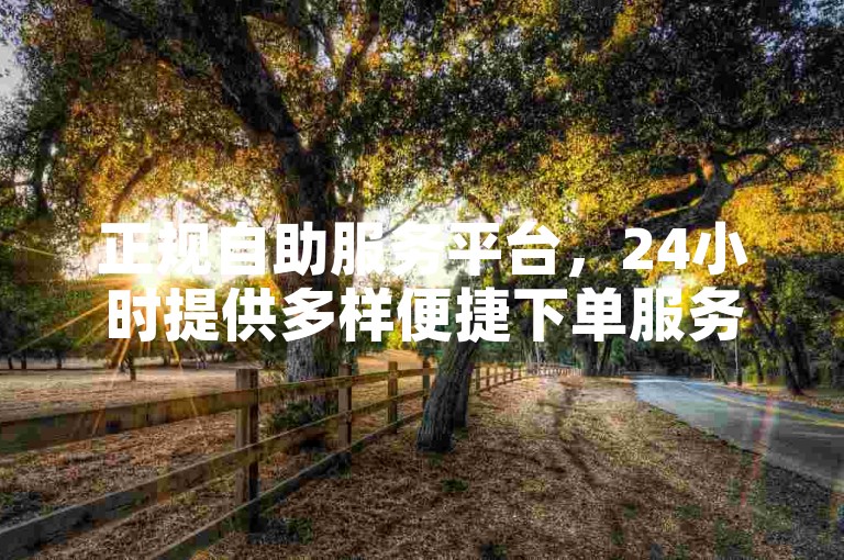 正规自助服务平台，24小时提供多样便捷下单服务。