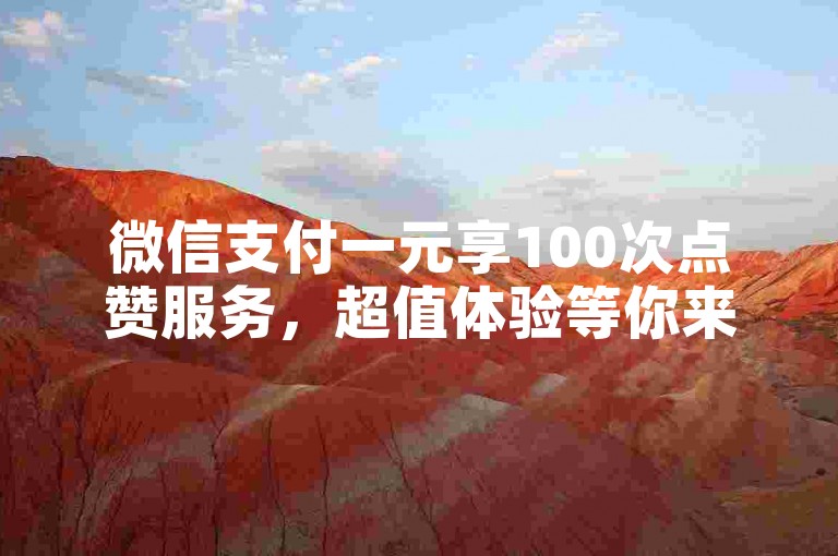 微信支付一元享100次点赞服务，超值体验等你来。