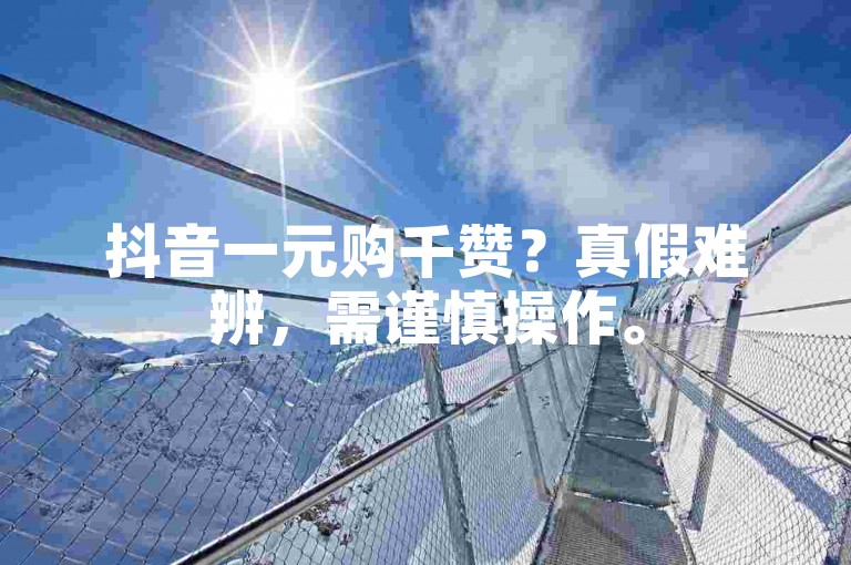 抖音一元购千赞？真假难辨，需谨慎操作。