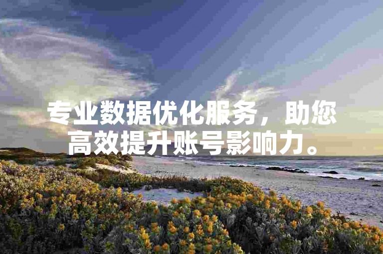 专业数据优化服务，助您高效提升账号影响力。
