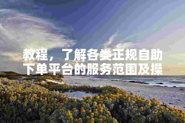 教程，了解各类正规自助下单平台的服务范围及操作流程。