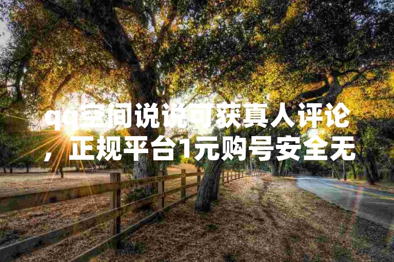 qq空间说说可获真人评论，正规平台1元购号安全无忧
